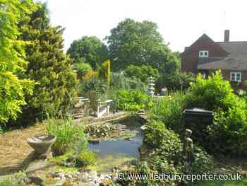 Much Marcle to hold open garden day to raise funds for a new shop