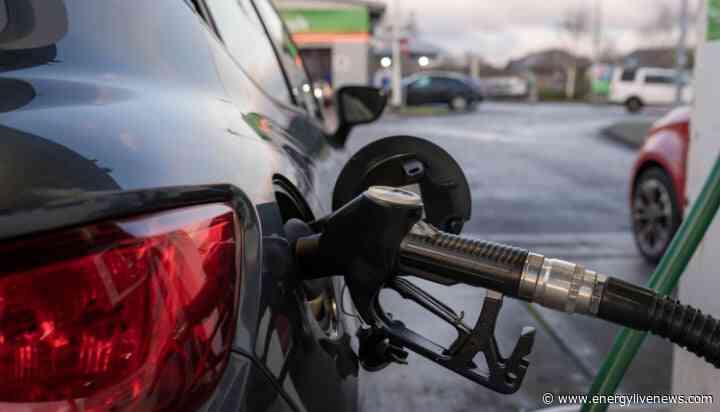 Concerns arise over high fuel retailer margins