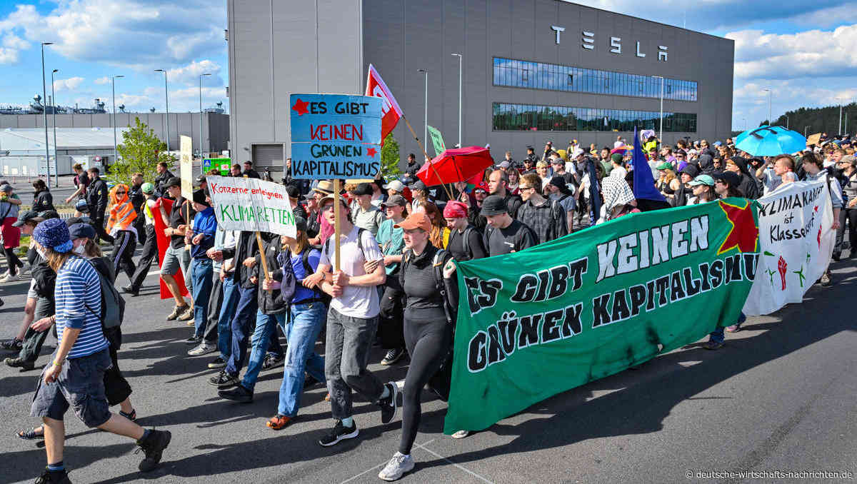 Tesla-Gerichtsurteil: Baumhäuser im Camp gegen Tesla dürfen vorerst stehenbleiben