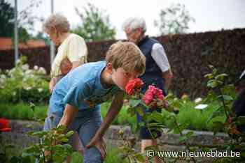 Jaarlijkse Rozenfeest strijkt neer in Rivierenhof