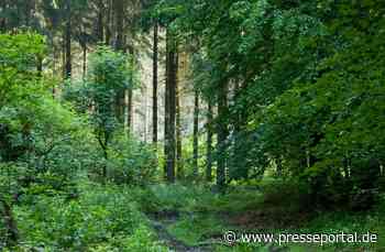 Verabschiedet sich Hessen von der verantwortungsvollen Waldwirtschaft?
