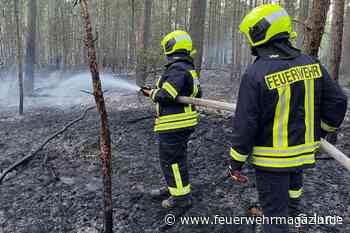 140 Feuerwehrleute bekämpfen Waldbrand in Lübtheen