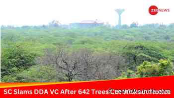 642 Trees Axed In South Delhi Ridge, SC Issues Criminal Contempt Notice to DDA VC