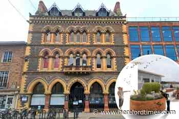 Herefordshire Council meeting: museum, potholes and bins