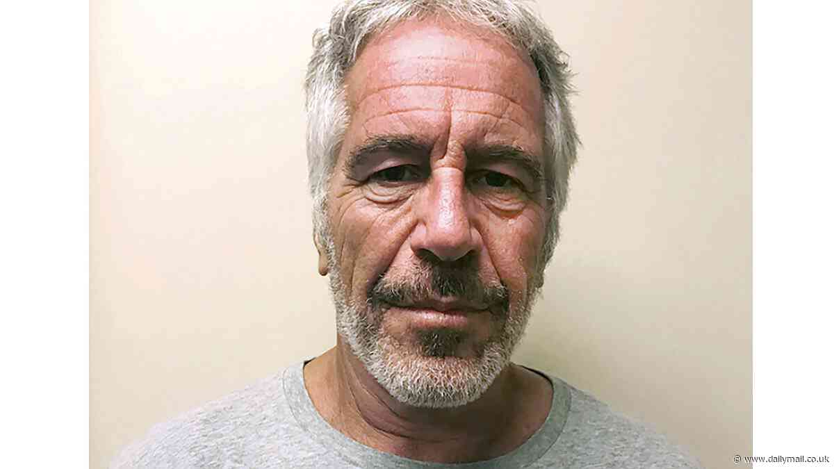 Jeffrey Epstein's notorious 'little black book' that lists 349 of dead pedophile's contacts is put up for auction and could fetch $200,000