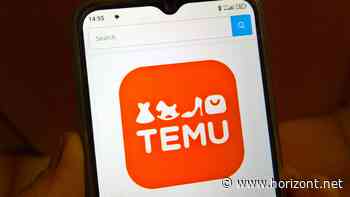 Chinesischer Online-Marktplatz : Verbrauchergruppen reichen Beschwerde gegen Temu ein