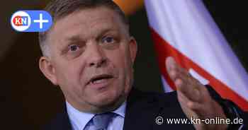 Attentat auf slowakischen Premierminister: Warum hat Fico viele politische Feinde?