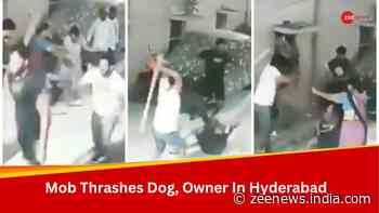 WATCH: Dog Menace Turns Violent, Group Of Men Thrash Owner And Dog With Sticks - Full Story