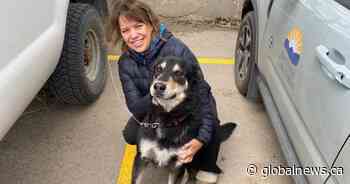 ‘Amazing’: Fort Nelson evacuee grateful for Fort St. John community