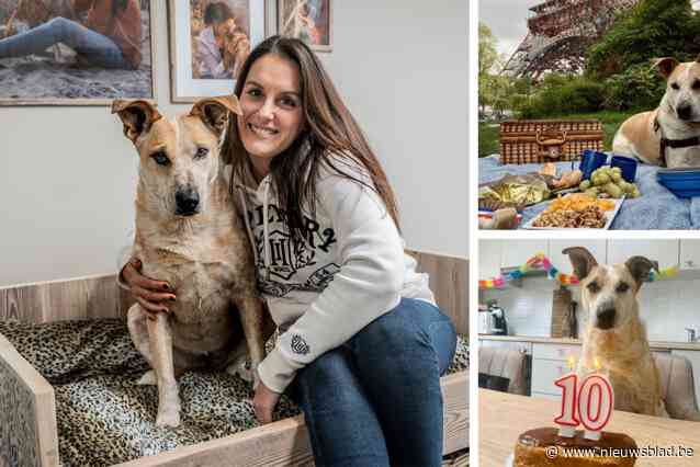 Mélody maakte bucketlist voor haar hond Jenny, die deze week overleed na slepende ziekte: “Ik kwam tien jaar lang thuis voor haar”