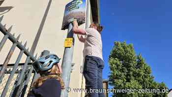 Übergriffe im Wahlkampf: Auch Grüne in Braunschweig betroffen