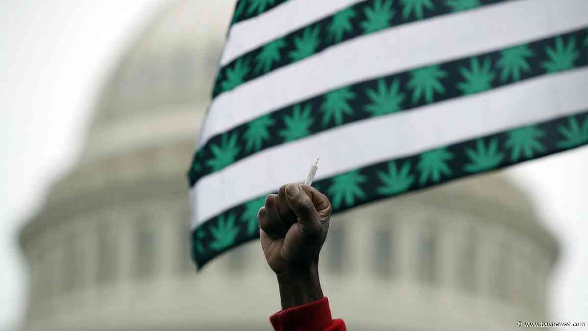 Biden officially announces move to reclassify marijuana: 'This is monumental'