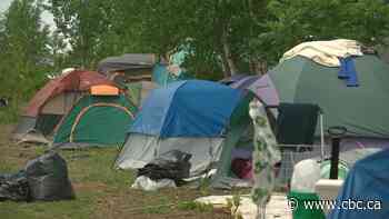 As Sarnia park encampment grows, city's top cop won't enforce evictions without court order