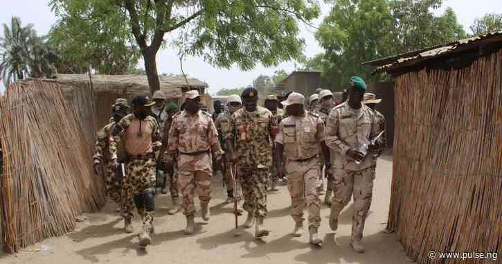 Troops eliminate 227 terrorists, apprehend 529 in 1 week