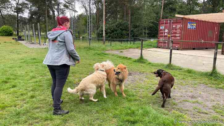 Ynske heeft afgebrande hondenschool herbouwd: 'Een Hassing geeft niet op'