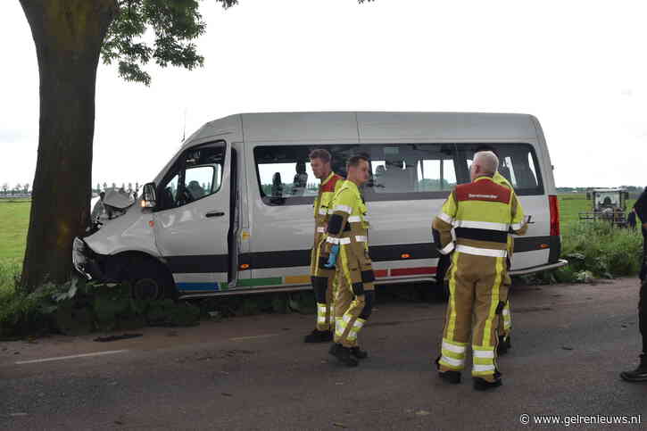 Passagier van taxibus overleden door klap tegen boom, bestuurder gewond naar het ziekenhuis