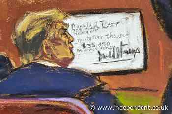Sketchy characters: The best courtroom drawings from Donald Trump’s New York hush money trial