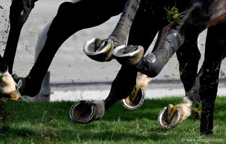 Horse racing notes: Santa Anita Oaks grad Corposo hits the road