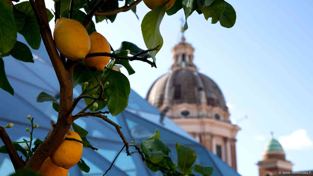 Pesto basilico e limone, un connubio perfetto sorprende la città eterna con un evento che inaugura la stagione estiva romana 