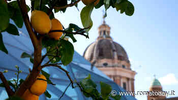 Pesto basilico e limone, un connubio perfetto sorprende la città eterna con un evento che inaugura la stagione estiva romana 