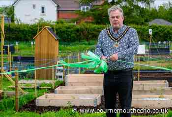 Town Mayor opens new allotment site in Ringwood