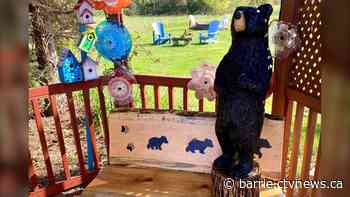 CTV Barrie welcomes wood-carved bear to garden set