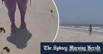 Florida cop finds lost girl on beach