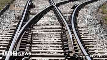 Rail delays after person hit by train