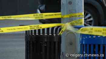 Police investigate southeast Calgary stabbing