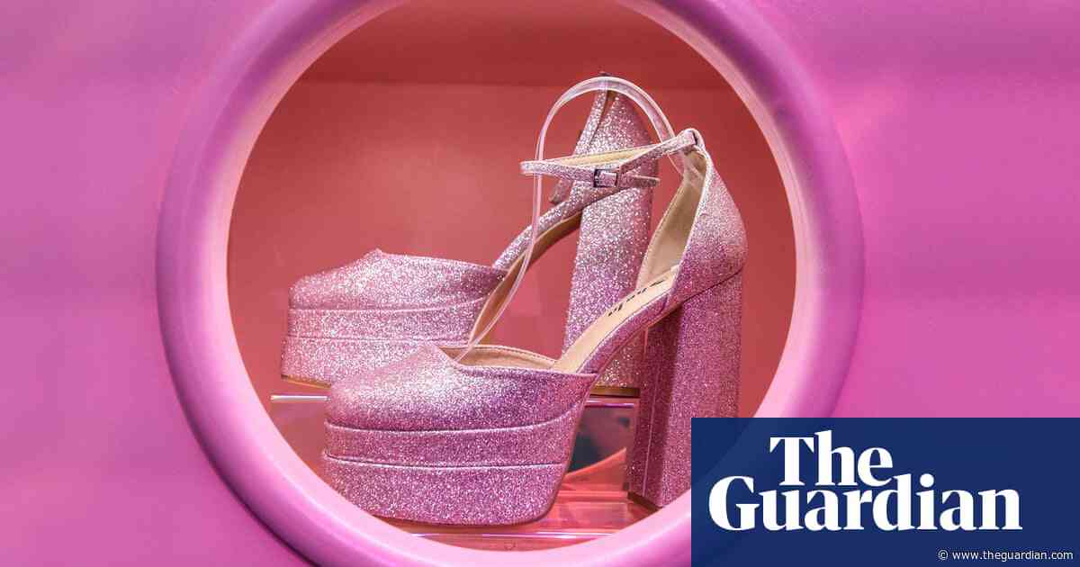 ‘Super cute please like’: the unstoppable rise of Shein – podcast