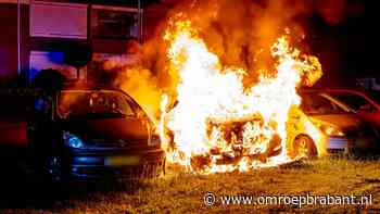 112-nieuws: auto's door brand verwoest • hond wekt gezin in brandend huis