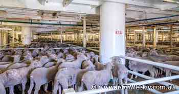 WA sheep farmers feel abandoned