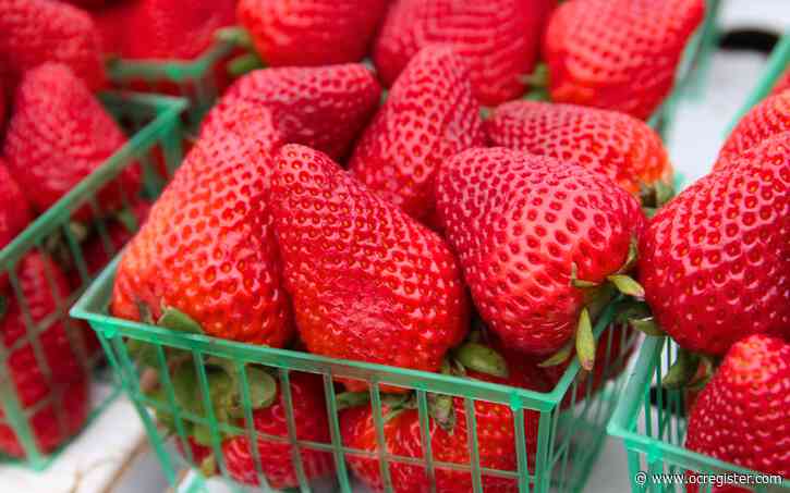 Here’s why California has a national strawberry day