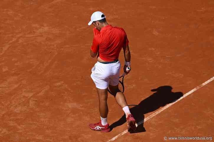 Andy Roddick details concerns he has for Novak Djokovic heading into French Open