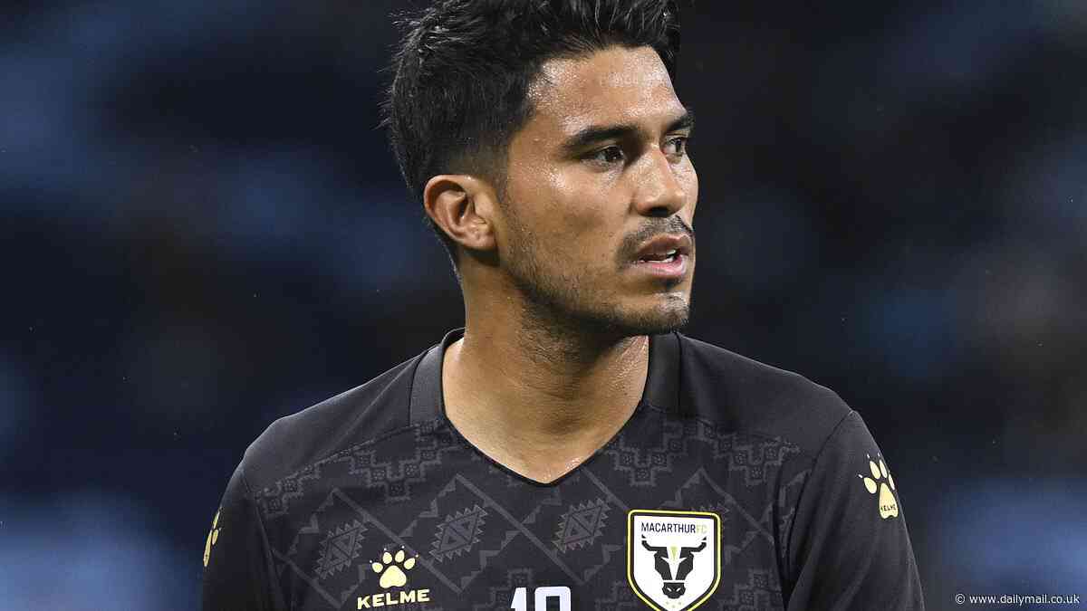 Cops reveal how they exposed alleged 'match-fixing' on A-League matches that took down Macarthur FC captain Ulises Dávila