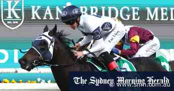 Hands-on Freedman finds the sweet spot with quality over quantity