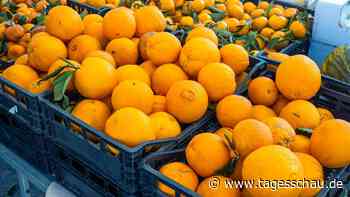 Schlechte Ernten: Orangensaft wird immer teurer