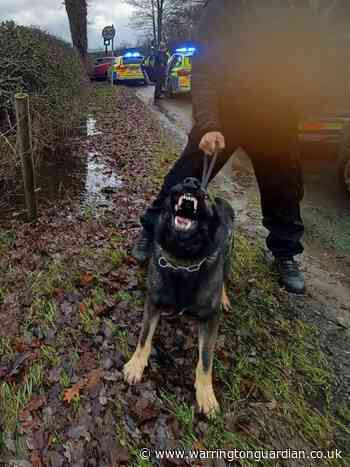 Police dog helped hunt down suspect armed with weapon in Warrington
