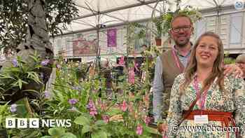 Micro nurseries to display at Chelsea Flower Show