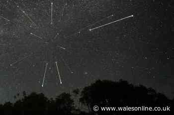 Meteors showers and supermoons to light up our skies