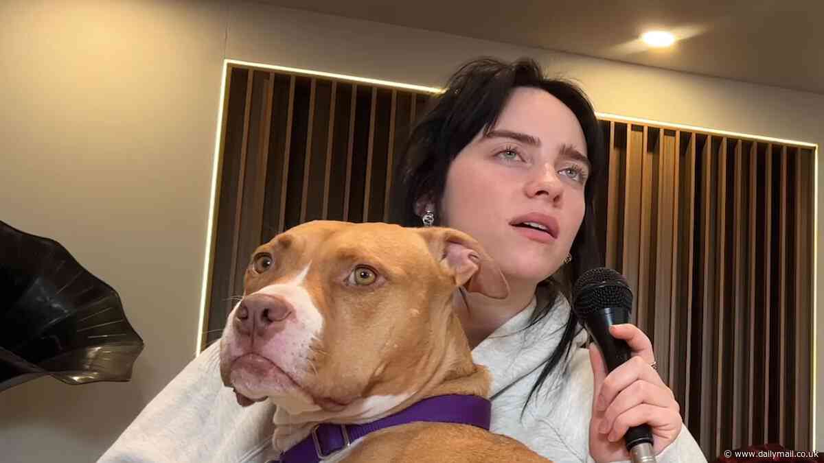 Billie Eilish drops third album Hit Me Hard and Soft as fans exclaim it is a 'masterpiece' and 'literally life changing' as they insist the singer is nominated for Album Of The Year
