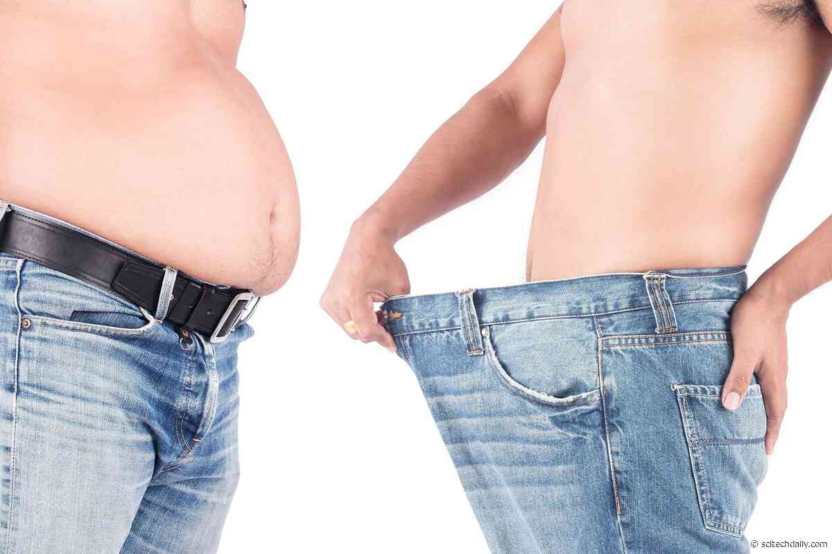 Weight Loss Wonders: New Study Uncovers Surprising Benefits of the Protein Kallistatin