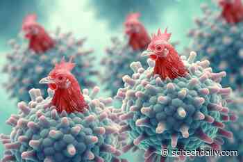 Alarming Virus Evolution – Scientists Identify First-Ever Mammal-to-Human Bird Flu Case