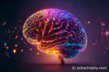 Epiregulin: The Growth Factor Redefining Human Brain Evolution
