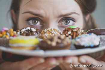 Why Do We Overindulge? Study Uncovers Intriguing Psychological Patterns in Pleasure and Overeating