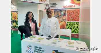 Oegandese exporteur ziet grote belangstelling voor avocado's