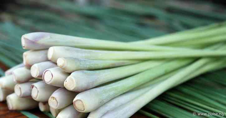 Other home uses of lemon grass besides cooking purposes