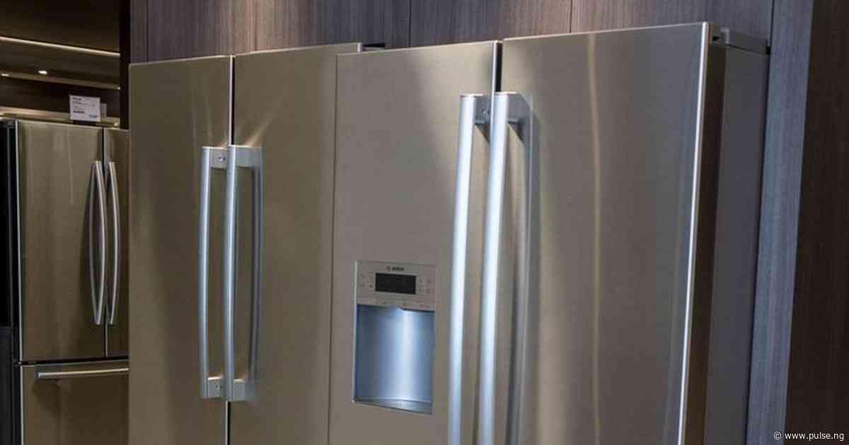 How to choose the perfect fridge for your kitchen in 2024