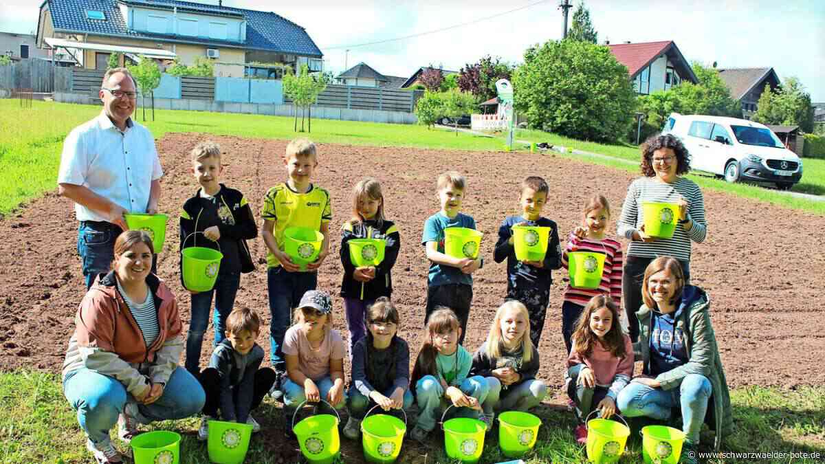 Junge Gärtner in Egenhausen: Blumenwiese wird auch Paradies für Insekten