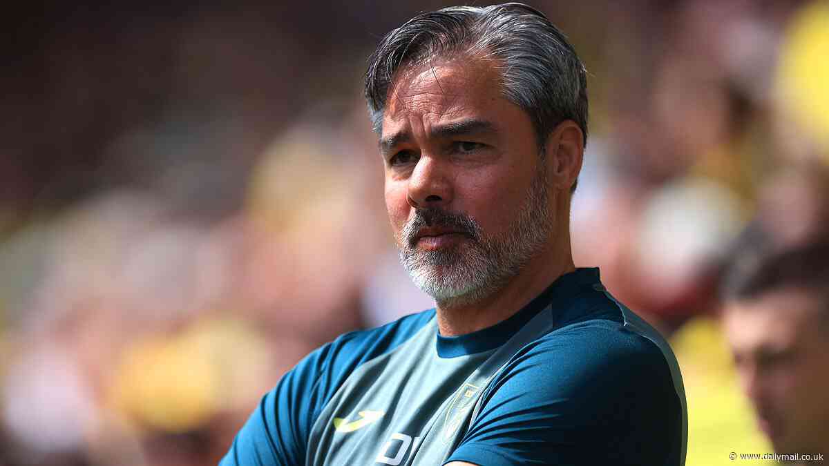 David Wagner SACKED by Norwich City following play-off semi-final thrashing at the hands of Leeds that thwarted Premier League return bringing a halt to an indifferent 18-month spell
